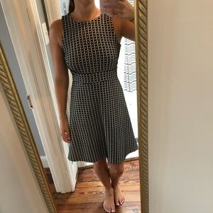 Loft fit and flare dress